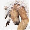 azbohochic